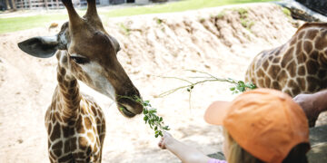 Jardim Zoológico propõe aulas (ao ar livre)