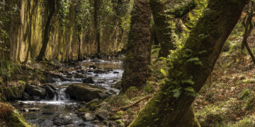 Tapada Nacional de Mafra lança experiências (especiais) de outono