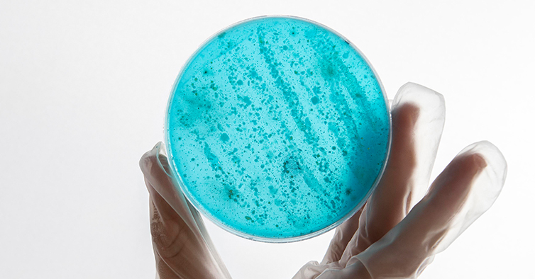 Pavilhão do Conhecimento leva atividades (de Norte a Sul)