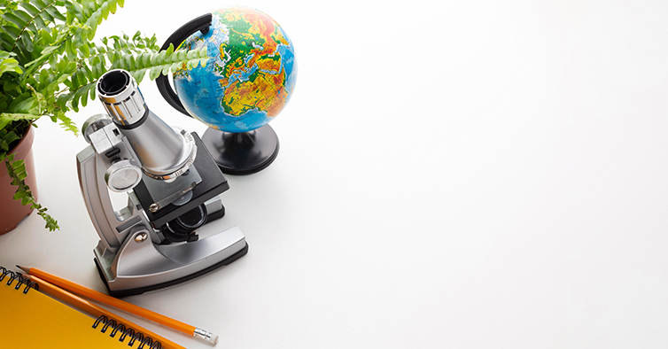 Escola Secundária de Camões segue os (mais) curiosos trilhos de Dinossáurios