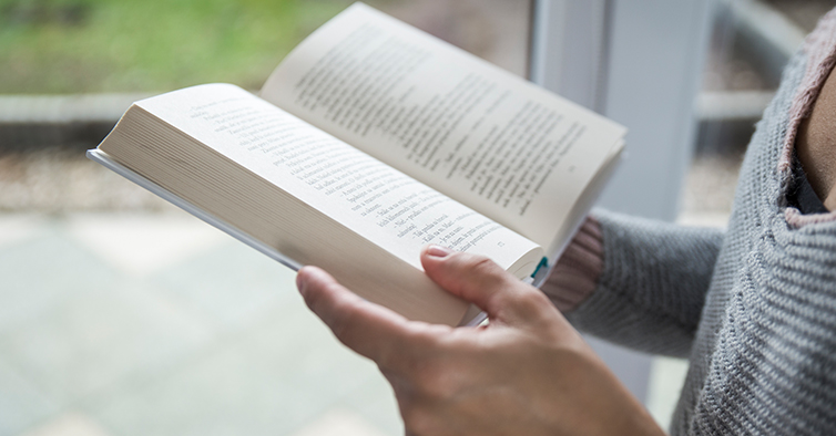 "Cheque-Livro" regressa (em 2026)