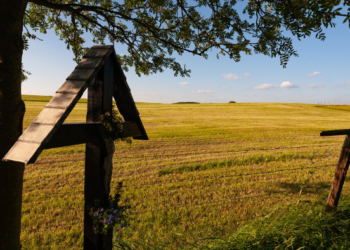 Escola Secundária de Penafiel sensibiliza para a resiliência de territórios rurais