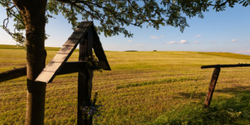 Escola Secundária de Penafiel sensibiliza para a resiliência de territórios rurais