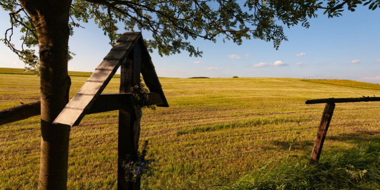 Escola Secundária de Penafiel sensibiliza para a resiliência de territórios rurais