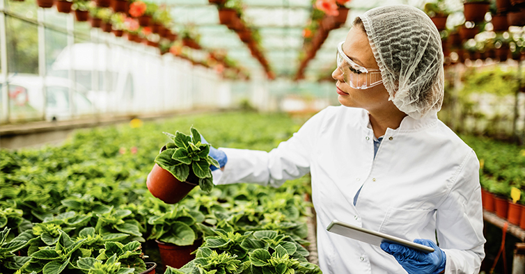 Agrupamento de Escolas do Vale do Ovil explora Ciências Agrárias