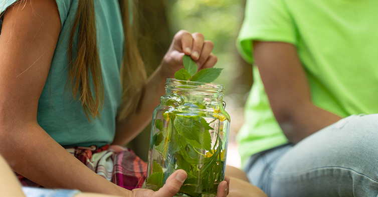 Guimarães acolhe a Sustentabilidade