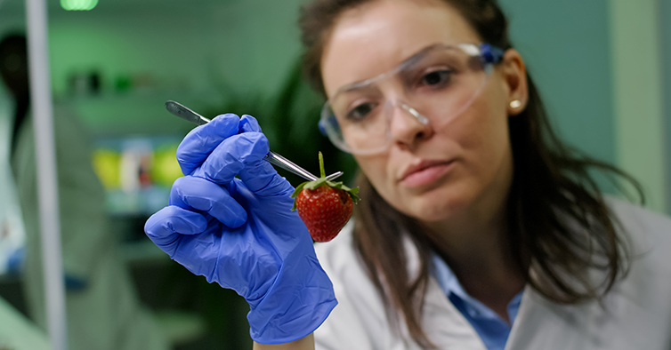 Politécnico de Leiria abre portas (à experimentação)